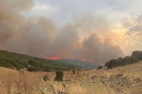 Ζάρκο: Υπό έλεγχο η φωτιά που ξεκίνησε από το Δαμάσι 